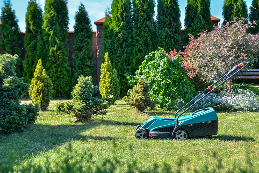 A basic guide to lawn care