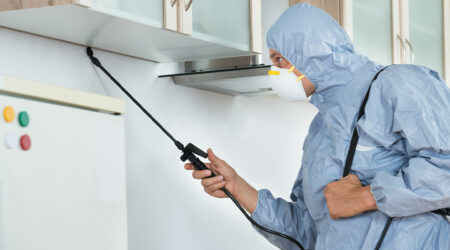 Pest control &#8211; Benefits and top companies