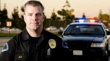 Law enforcement &#8211; Services, agencies, and potential job options