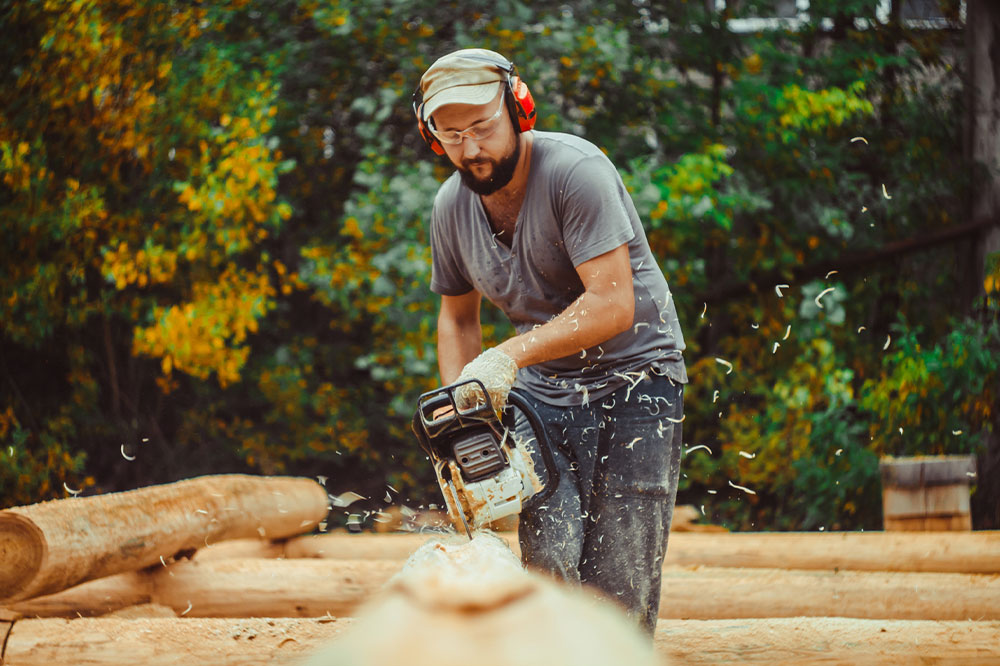 A look at the forestry and logging industry &#8211; Purpose, jobs, and more