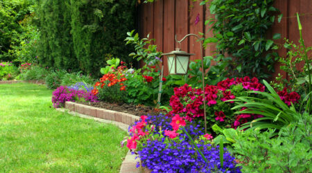 Backyard landscaping ideas, tips, and mistakes