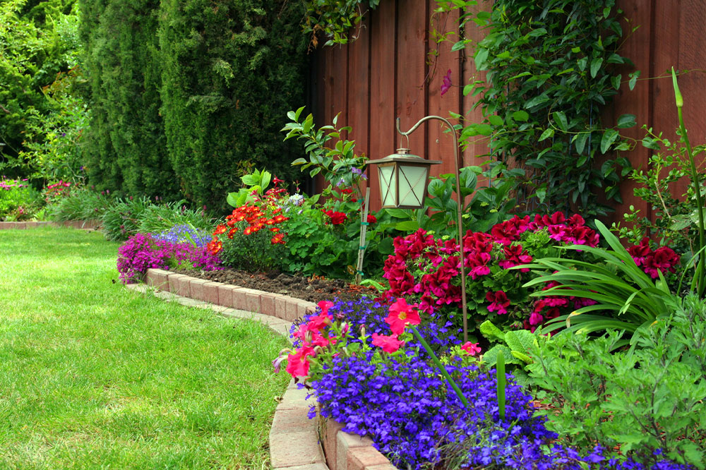 Backyard landscaping ideas, tips, and mistakes