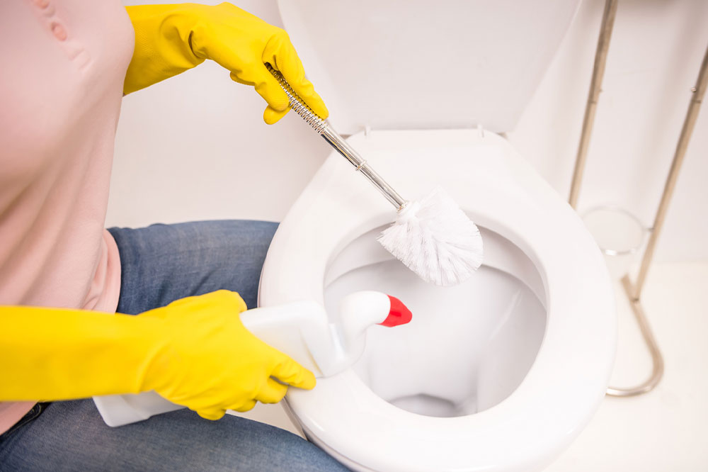 Toilet cleaners &#8211; Top ones, DIY solutions, and more